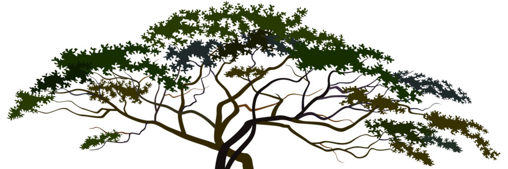 Forward HR Tree
